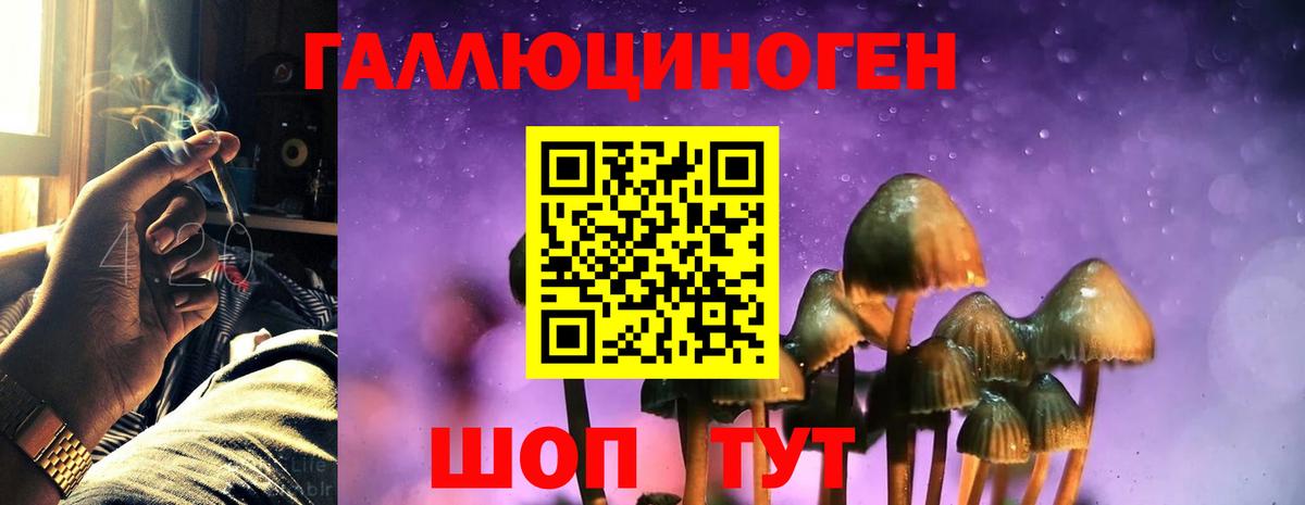 Галлюциногенные грибы прущие грибы Зеленогорск